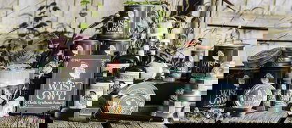 Instructions and Tips for using Wise Owl Chalk Synthesis Paint and finishing products Instructions and Tips for using Wise Owl Chalk Synthesis Paint and finishing products