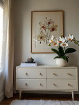 inspiration_Natural Light