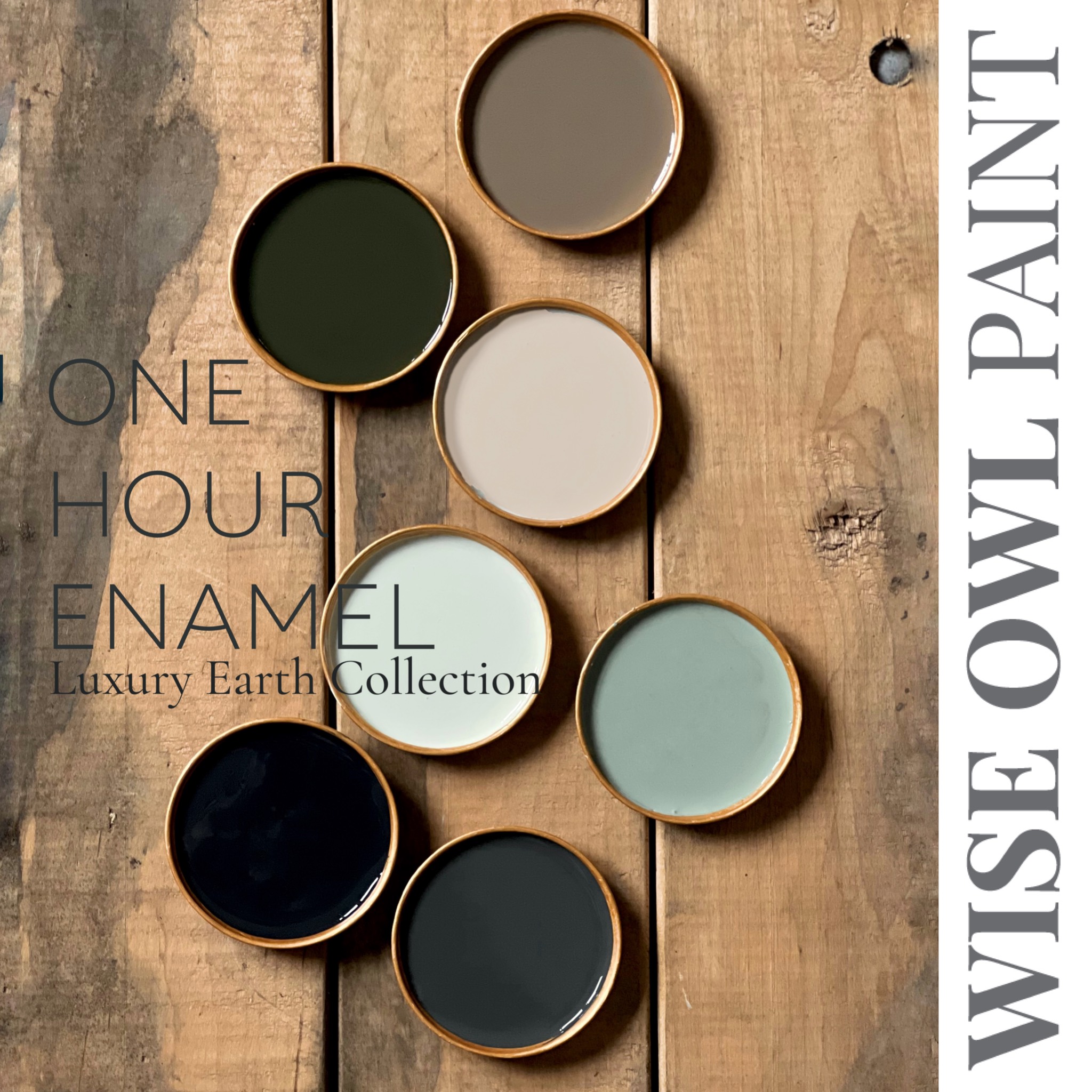 Wise Owl Paint: One Hour Enamel - Weathered Bronze – Remy Restores
