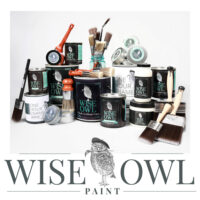 wise owl paint collection